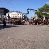 IMG_0314
