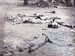 CadavresAStanleyville