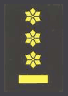 Colonel